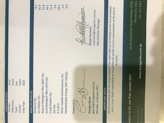 New Season Vetch 2020