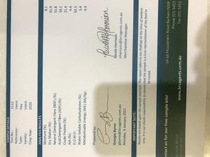 New Season Vetch 2020