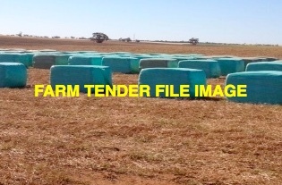 EOI - Oaten Silage
