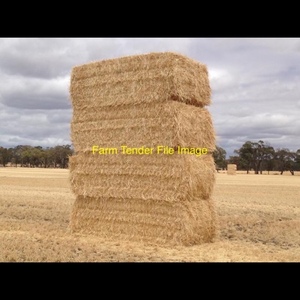 barley & wheat straw