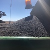 45mt Vetch Seed (Modern variety & Weed free)