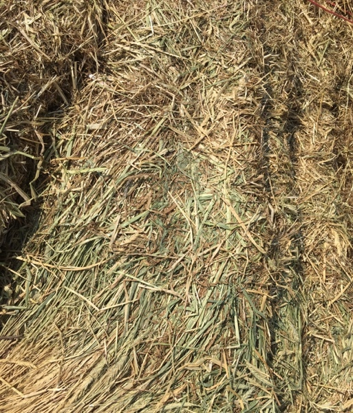671 x Wheaten Hay 630kg 8x4x3 Bales