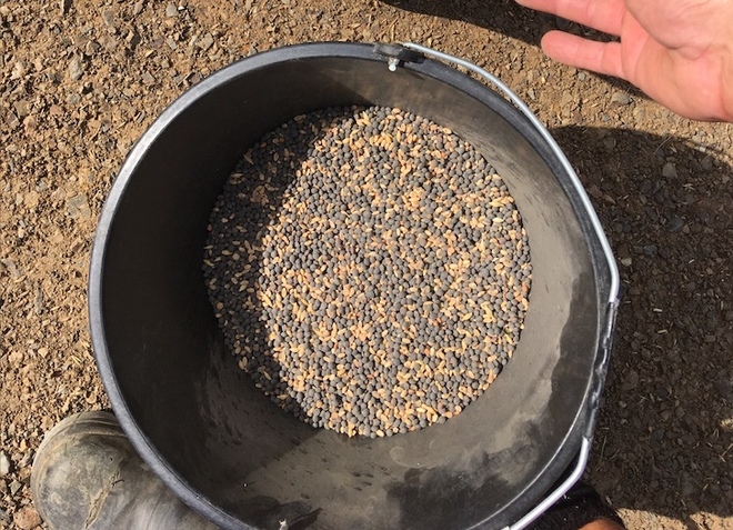 70mt Vetch/Wheat Hay Mix