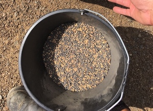 70mt Vetch/Wheat Hay Mix