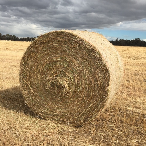 Oaten & Rye Round Bales