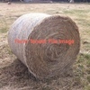 Under Auction - 200 - 5x4 Rolls Of Good Pasture Hay - Sold By The Ton -
