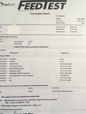 Vetch Hay A1 New Season 8x4x3 Bales