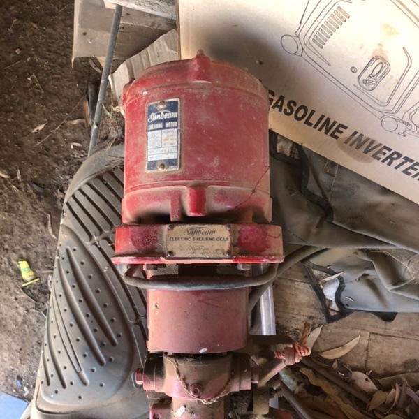 Sunbeam shearing plant ONO