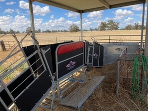 COMBI CLAMP SHEEP HANDLER AND WEIGHING UNIT