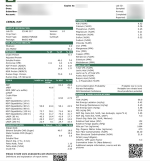 150mt Barley Hay 650-700kg 8x4x3 Bales