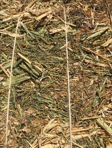 200 Vetch Hay 650kg approx 8x4x3 Bales