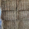 130mt Barley Hay 650kg 8x4x3 Bales (New Season)