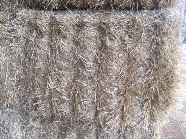 Barley Straw 8x4x3