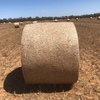 200 x Canola Hay 5x4 Rolls