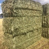 New Season' Wheaten Hay Ready to Go in 8x4x3 Bales Ex Paddock