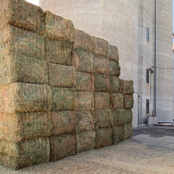 ** New Season Vetch Hay **