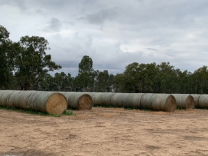 Wheaten Hay 550kg 8x4x3 Bales