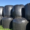 Lucerne Silage 