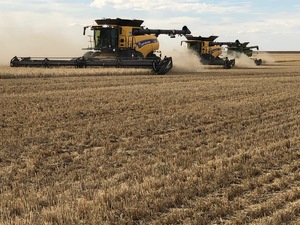 Contract Harvesting Available