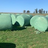 200 + Clover Rye Silage Rolls