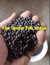 100mt Vetch Seed Ex-Farm 