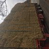 Wheaten Hay - 250mt available