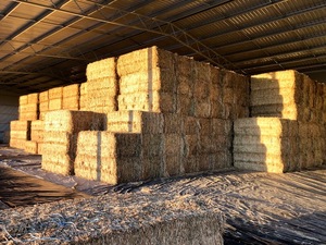Oaten Hay 8x4x3 Bales