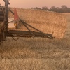 Windrowed Wheat Straw - New Season