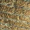 Canola Hay