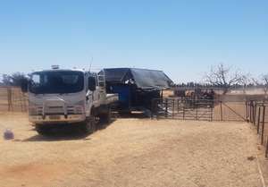 Fishers Mobile Crutching 