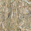 'New Season' Canola Hay 8x4x3 Bales