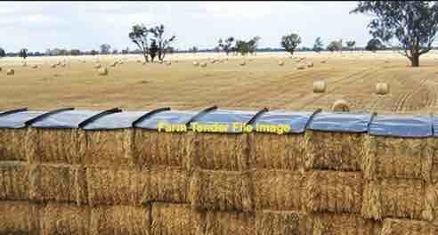 Organic / Biodynamic wheaten Straw USDA & NOP Accredited 3 to 4 weeks time