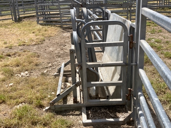 Arrow Galvanised Calf Cradle