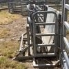 Arrow Galvanised Calf Cradle