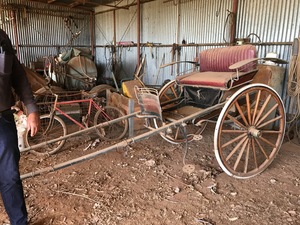 (A134) - Fully Restored Horse Gig