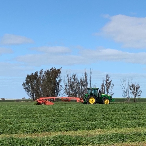 Massey Ferguson Mower Conditioner