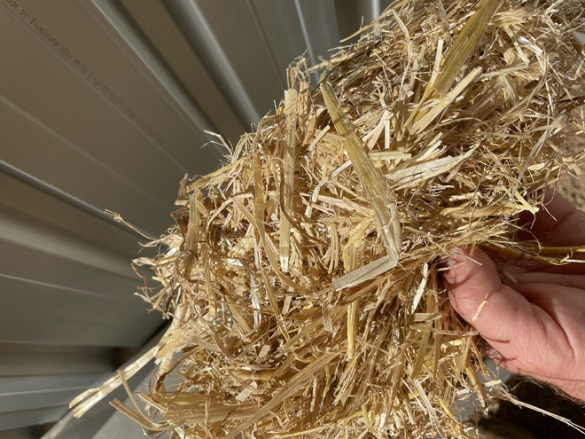 ⚜️Barley Straw 8x4x3 Bales⚜️