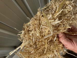 ⚜️Barley Straw 8x4x3 Bales⚜️