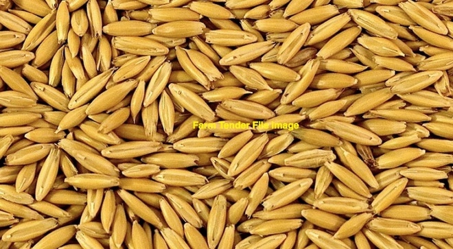 20mt Hay Oats ex farm