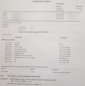 100mt Vetch Hay 580 kg 8x4x3 Bales 'New Season'
