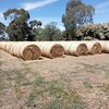 100 x Oaten Hay 5x4 Round Bales