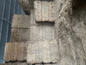 OATEN HAY 8X4X3 SHEDDED