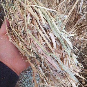 160mt Clover/Oat Hay mix 650kg 8x4x3 Bales (19/20 Season)