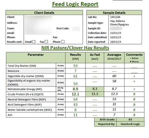 100mt Clover Ryegrass Hay 550-600kg 8x4x3 Bales