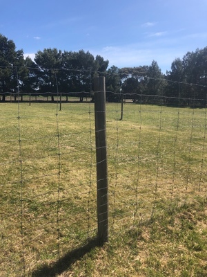 Emu 17 Line Wire Netting