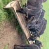 Weaned Steers and Heifers 