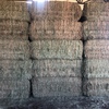 250mt Wheaten Hay 650kg 8x4x3 Baled 28/10 