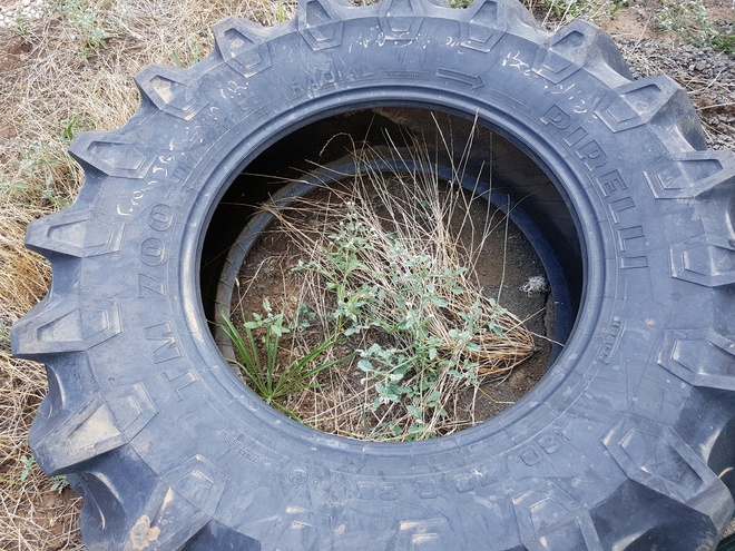 Pirelli  Tractor Tyre