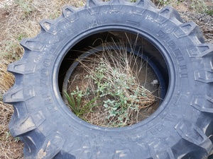 Pirelli Tractor Tyre