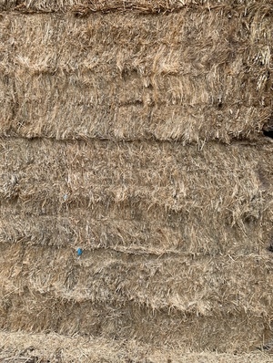 Straw 8 string 8x4x3 bales price is per bale
